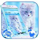 Free play online Cute Ice Blue Cat Theme APK Free play online Cute Ice Blue Cat Theme APK