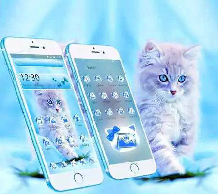 Play Cute Ice Blue Cat Theme