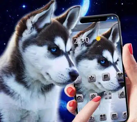 Play Cute Kawaii Puppy Theme Play Cute Kawaii Puppy Theme