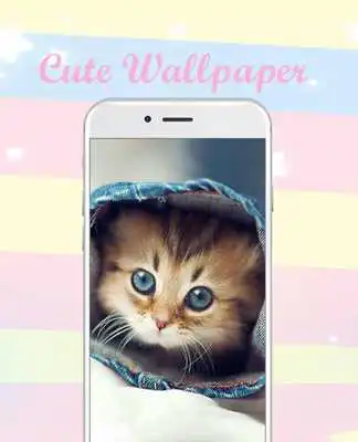Play Cute Kawaii Wallpapers