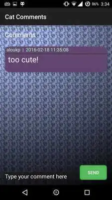 Play Cute Kitten - Photo contest