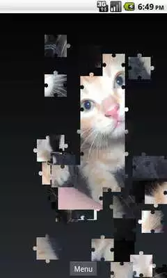 Play Cute Kittens Puzzle Play Cute Kittens Puzzle