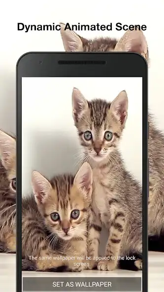 Play Cute Kittens Wallpaper Pro as an online game online Cute Kittens Wallpaper Pro with UptoPlay Play Cute Kittens Wallpaper Pro as an online game Cute Kittens Wallpaper Pro with UptoPlay