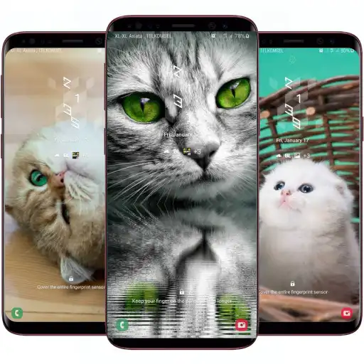 Free play online Cute Kitten Wallpapers HD APK