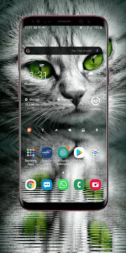 Play Cute Kitten Wallpapers HD