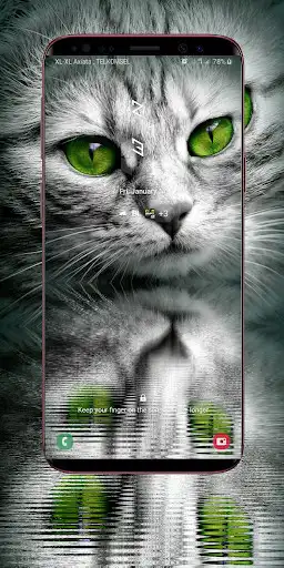 Play Cute Kitten Wallpapers HD