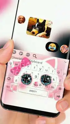 Play Cute Kitty Cat Keyboard