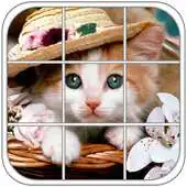 Free play online Cute Kitty Epic Puzzle APK