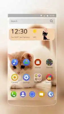 Play Cute Kitty Theme wallpaper