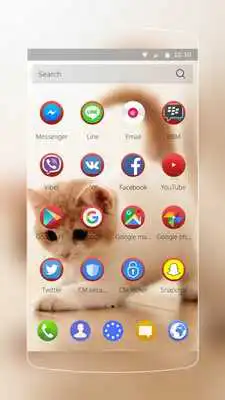 Play Cute Kitty Theme wallpaper