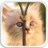 Free play online Cute Kitty Zipper Lock Screen APK