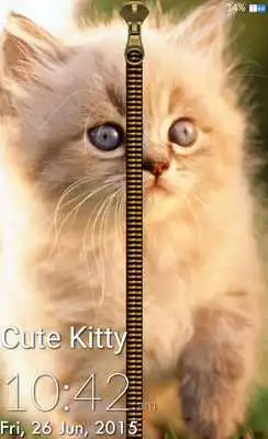 Play Cute Kitty Zipper Lock Screen