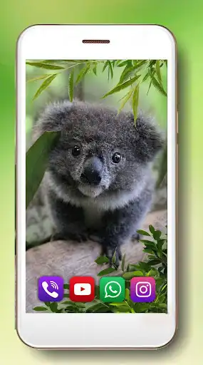 Play Cute Koala Live Wallpaper  and enjoy Cute Koala Live Wallpaper with UptoPlay