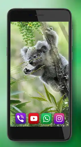 Play Cute Koala Live Wallpaper as an online game Cute Koala Live Wallpaper with UptoPlay