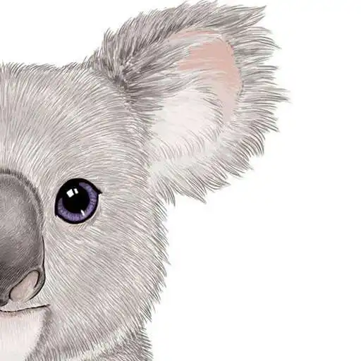 Play Cute Koala Wallpapers  Art APK