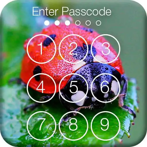 Run free android online Cute Ladybug Screen Lock APK Run free android online Cute Ladybug Screen Lock APK