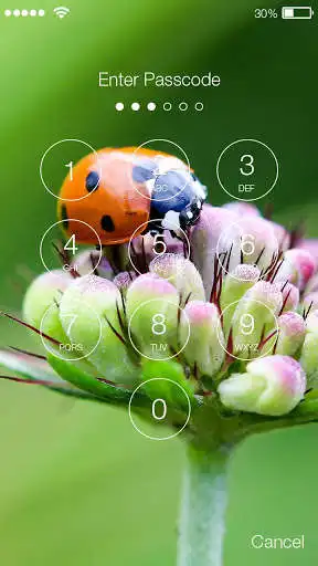 Play APK Cute Ladybug Screen Lock  and enjoy Cute Ladybug Screen Lock with UptoPlay com.lockphonrex.cuteladybug