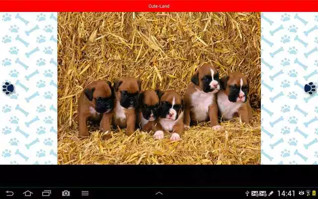 Play Cute-Land