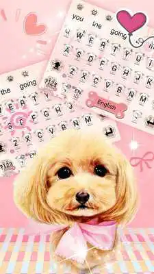 Play Cute little dog keyboard theme