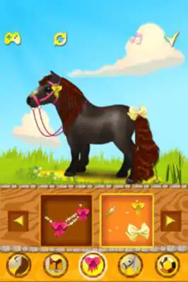 Play Cute Little Pony Dress Up