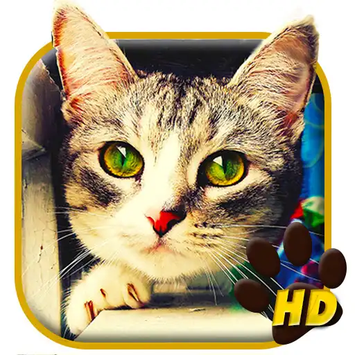 Run free android online Cute Lovely Cat APUS Live Wallpaper APK