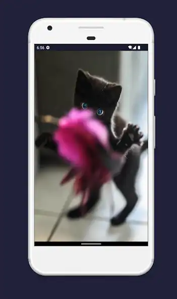 Play Cute Meows HD offline  and enjoy Cute Meows HD offline with UptoPlay