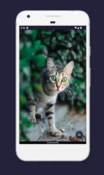 Play Cute Meows HD offline as an online game Cute Meows HD offline with UptoPlay