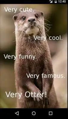 Play Cute Otter