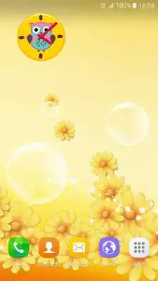 Play Cute Owl Clock Widget