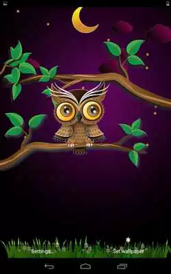 Play Cute Owl  and enjoy Cute Owl with UptoPlay