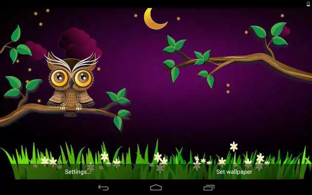 Play Cute Owl as an online game Cute Owl with UptoPlay