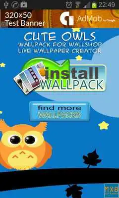 Play Cute Owls WallShop Pack
