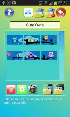 Play Cute Owls WallShop Pack