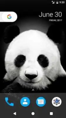 Play Cute Panda HD Wallpapers  and enjoy Cute Panda HD Wallpapers with UptoPlay