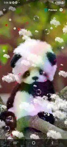 Play Cute Panda Live Wallpaper  and enjoy Cute Panda Live Wallpaper with UptoPlay