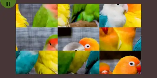 Play Cute Pets Puzzle as an online game online Cute Pets Puzzle with UptoPlay com.RoninDvlpr.CutePets Play Cute Pets Puzzle as an online game Cute Pets Puzzle with UptoPlay