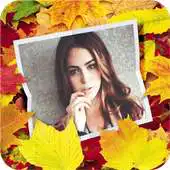 Free play online Cute Photo Effects Box APK Free play online Cute Photo Effects Box APK