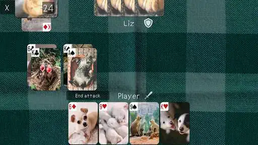 Play Cute Photos Durak  and enjoy Cute Photos Durak with UptoPlay