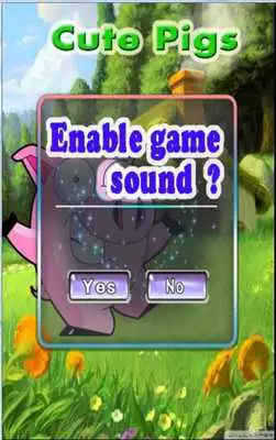 Play Cute Pigs