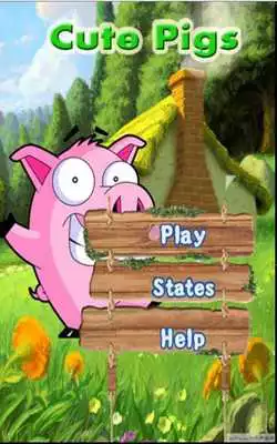 Play Cute Pigs