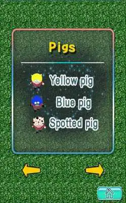 Play Cute Pigs