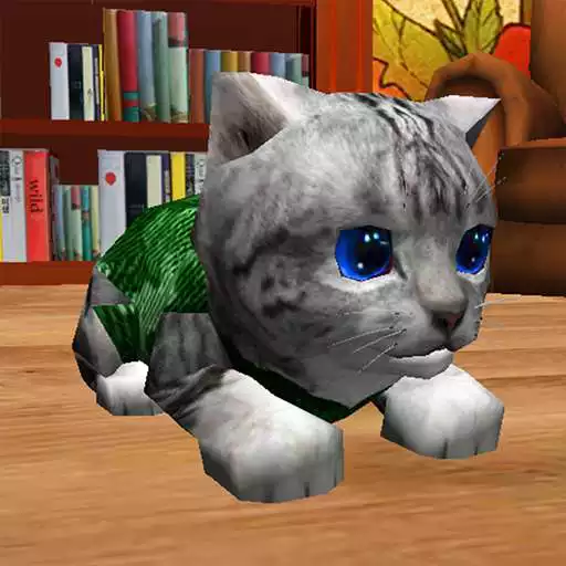 Run free android online Cute Pocket Cat 3D APK