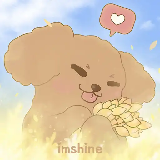 Play Cute poodle with autumn APK