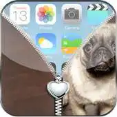 Free play online Cute Pug Puppy Zip Lock APK Free play online Cute Pug Puppy Zip Lock APK