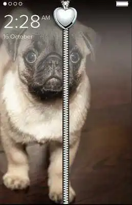 Play Cute Pug Puppy Zip Lock