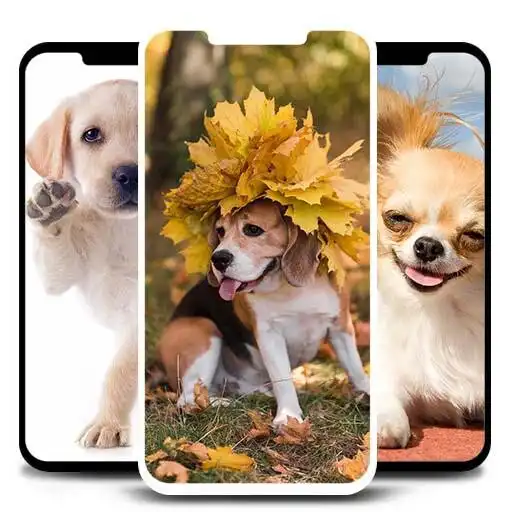 Play Cute Puppies Dog Wallpapers HD Backgrounds (Funny) APK