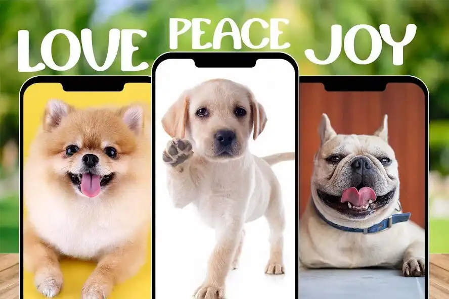 Play Cute Puppies Dog Wallpapers HD Backgrounds (Funny) as an online game online Cute Puppies Dog Wallpapers HD Backgrounds (Funny) with UptoPlay Play Cute Puppies Dog Wallpapers HD Backgrounds (Funny) as an online game Cute Puppies Dog Wallpapers HD Backgrounds (Funny) with UptoPlay
