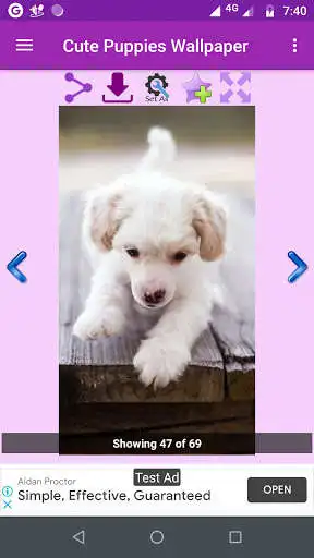 Play Cute Puppies Gallery as an online game Cute Puppies Gallery with UptoPlay
