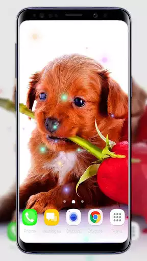 Play Cute Puppies live wallpaper