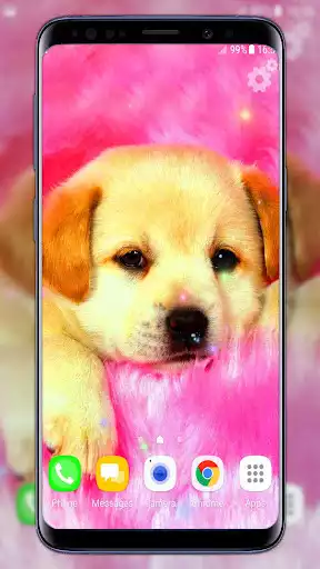 Play Cute Puppies live wallpaper